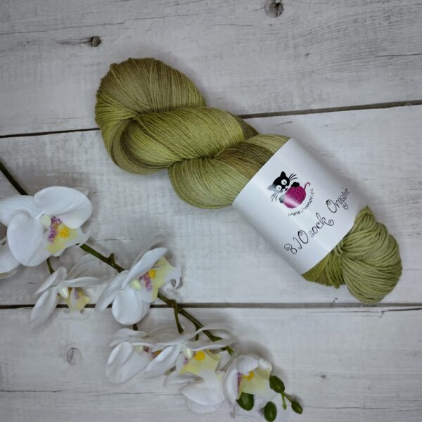 BIOSock Organic - 75% merino organic 25% nylon biodegradable – 1 přadeno 100g- TM03 - barveno přírodou