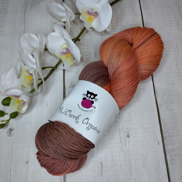 BIOSock Organic - 75% merino organic 25% nylon biodegradable – 1 přadeno 100g- TM05 - barveno přírodou