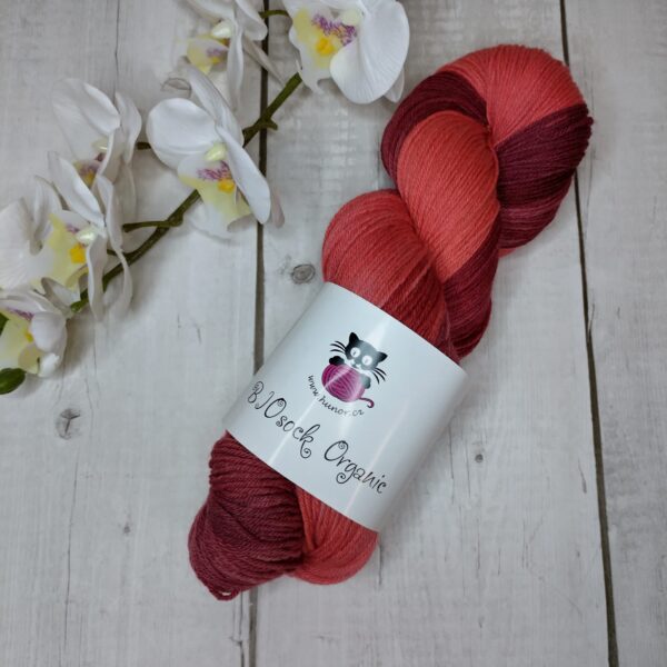 BIOSock Organic - 75% merino organic 25% nylon biodegradable – 1 přadeno 100g- TM06 - barveno přírodou