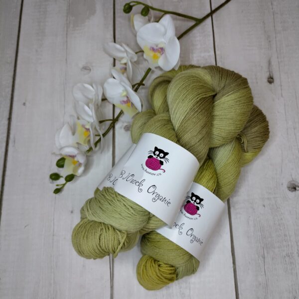 BIOSock Organic - 75% merino organic 25% nylon biodegradable – 1 přadeno 100g- TM03 - barveno přírodou - Image 3