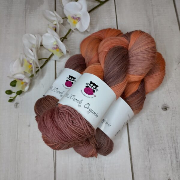 BIOSock Organic - 75% merino organic 25% nylon biodegradable – 1 přadeno 100g- TM05 - barveno přírodou - Image 2
