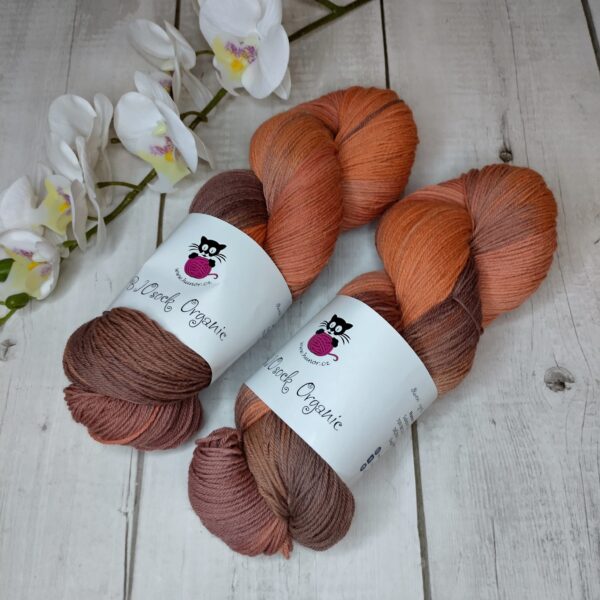 BIOSock Organic - 75% merino organic 25% nylon biodegradable – 1 přadeno 100g- TM05 - barveno přírodou - Image 3