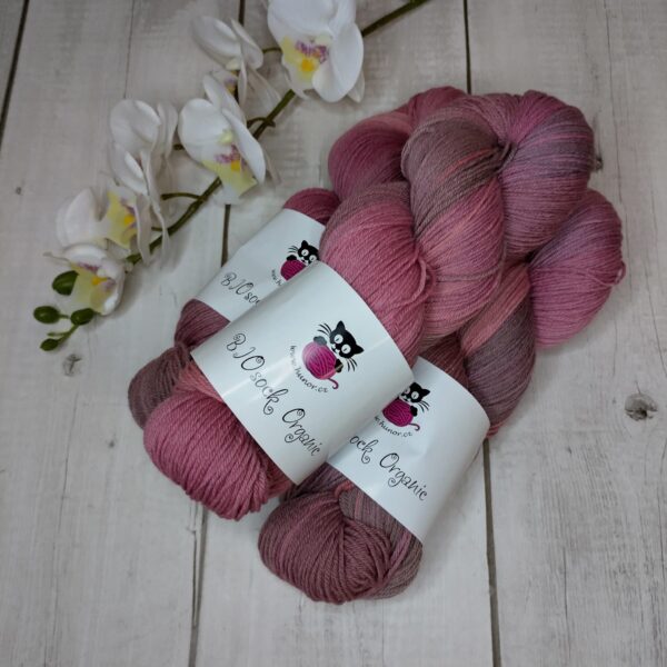 BIOSock Organic - 75% merino organic 25% nylon biodegradable – 1 přadeno 100g- TM07 - barveno přírodou - Image 3
