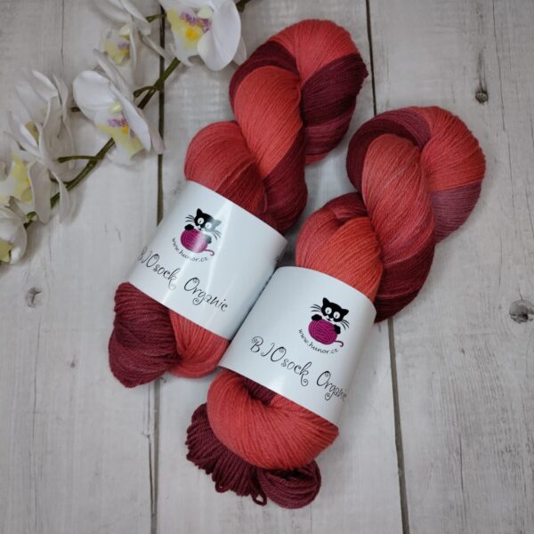 BIOSock Organic - 75% merino organic 25% nylon biodegradable – 1 přadeno 100g- TM06 - barveno přírodou - Image 2